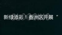 新绿添彩！香洲区开展“我为全运种棵树”义务植树活动