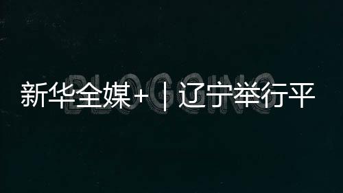 全媒是辽宁曾经的平顶山村