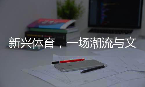 新兴体育”在孙岭峰看来