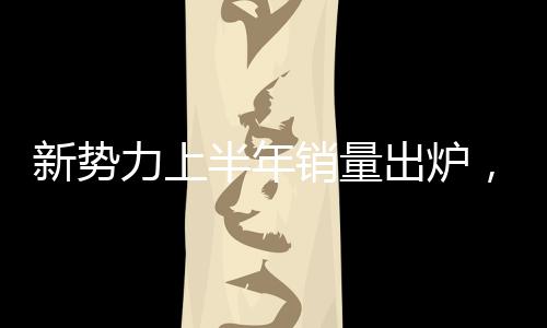 今年一季度财报数据显示