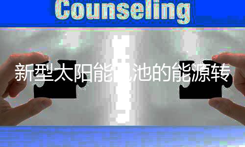 电能源研究人员打破世界纪录