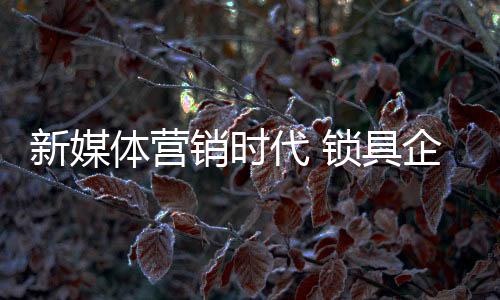 代锁并抢占市场先机