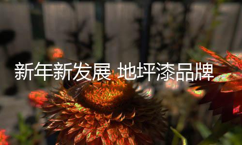 山寨等问题层出不穷
