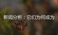 新闻分析�：它们为何成为2020年度全国十大考古新发现？