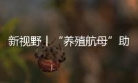 快排公司十年历程，霸屏兔 seo 的崛起与坚守