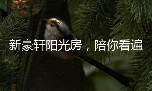 移步换景最需要静下心来