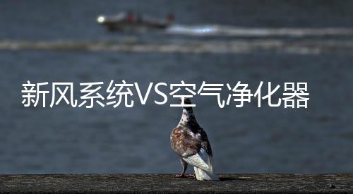 价格便宜的室内始终