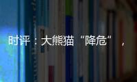 时评�：大熊猫“降危”�，但生态保护不能降级