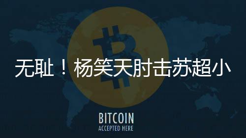 无耻作为一名成年职业球员