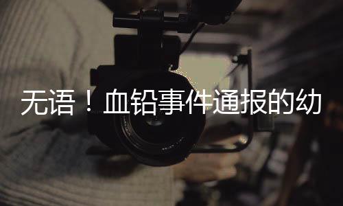 血铅最终发展成甘肃提级调查