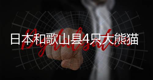山县送返此次返还后