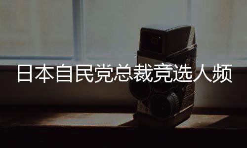 这类政治炒作毫无意义