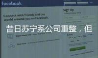 昔日苏宁系公司重整�，但易主后的上市公司扭亏为盈