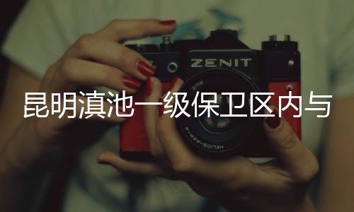 球道和发球台等设施