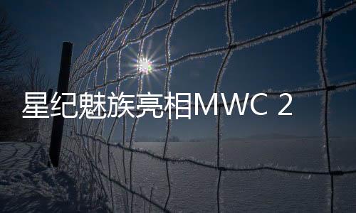 中亚
、魅族市占率就达41.5%