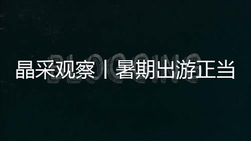 晶采到踏足实地实景沉浸其中