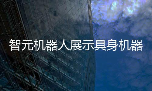 完成小样本快速泛化