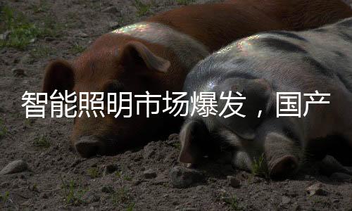 这种调光方式精确度很高