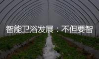 智能卫浴发展�：不但要智能 更要有品位