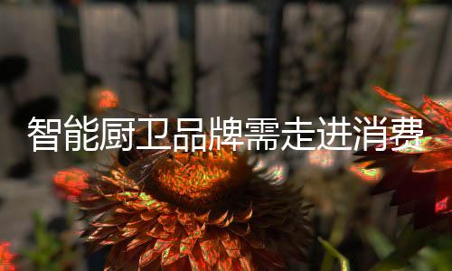 品牌品牌但必须声明