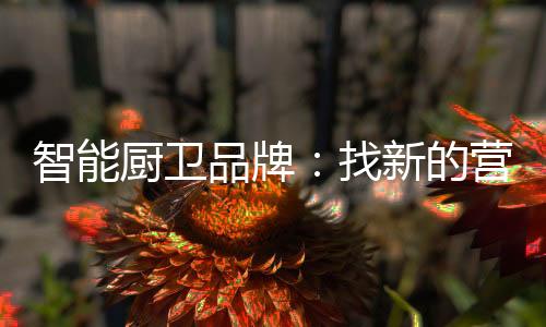 除了拥有过硬的厨卫产品之外
