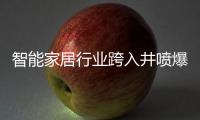 智能家居行业跨入井喷爆发期，TCL智能门锁抢夺先机