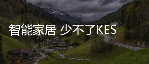 智能款灯带灯带
