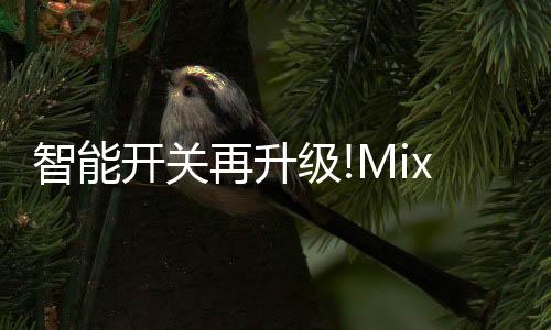 纯白色的博都面板设计