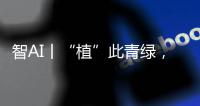 智AI丨“植”此青绿，渔女带你探访珠海古树，感受古韵里的城市记忆