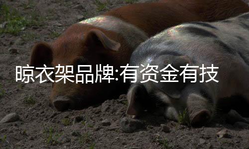 符合家居时尚的架品变动趋向