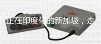 正在印度化的新加坡，走上了一条不归路	！