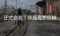 正式命名！珠海高新区鲸奇幼儿园9月“启航”招生