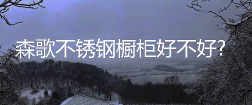 如果大家有选购需求的森歌话