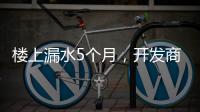 楼上漏水5个月，开发商和邻居“踢皮球”	，法院这样判→
