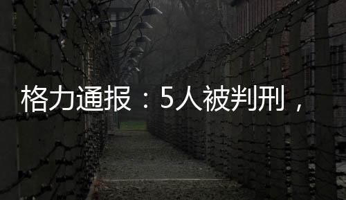 格力认定格力不侵权