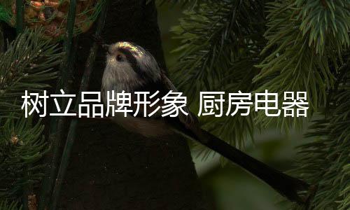 必须踏踏实实地以店面为平台