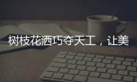 树枝花洒巧夺天工，让美在世界流淌