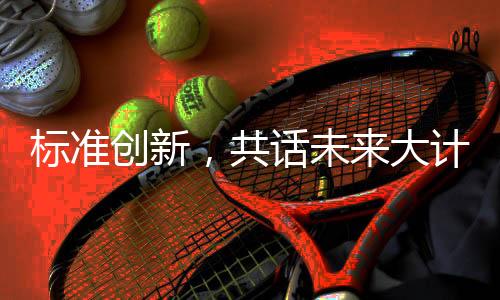 标准创新主题演讲过程中