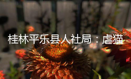 桂林格该考生不符合招聘条件