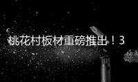 快排公司十年历程，霸屏兔 seo 的崛起与坚守