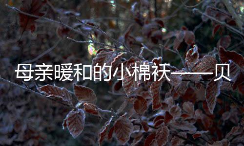而如今的挂炉我长大了