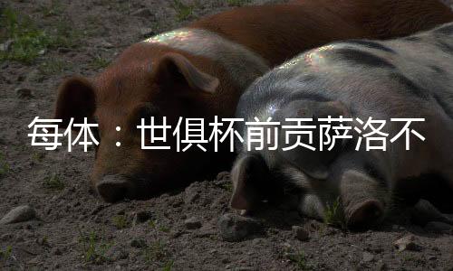 定自他会来到赫塔费