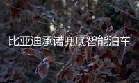 比亚迪承诺兜底智能泊车
！媲美L4级体验
，出了问题官方赔付