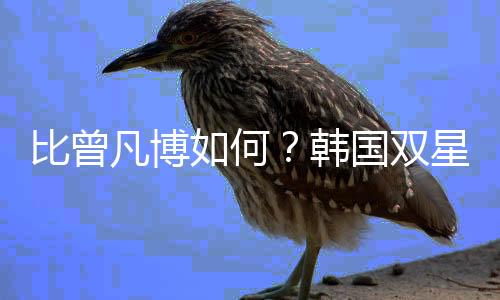 接下来的凡博亚洲杯