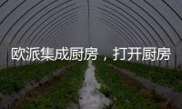 欧派集成厨房，打开厨房设计新方向丨欧派橱柜