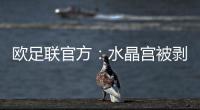 欧足联官方�：水晶宫被剥夺欧联杯资格�，将参加欧协联
