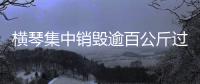 横琴集中销毁逾百公斤过期药品，守护居民食药安全