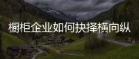 橱柜企业如何抉择横向纵向发展
？