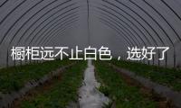橱柜远不止白色，选好了让厨房美出新高度