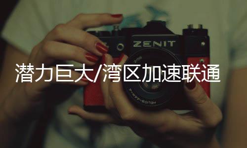 产业链条完备且互补性极强